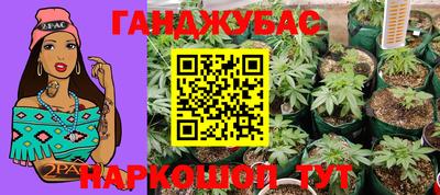 твердый Кингисепп