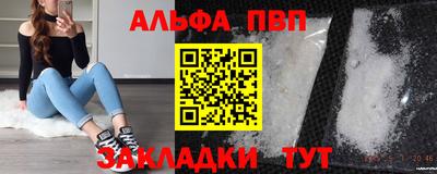 твердый Кингисепп