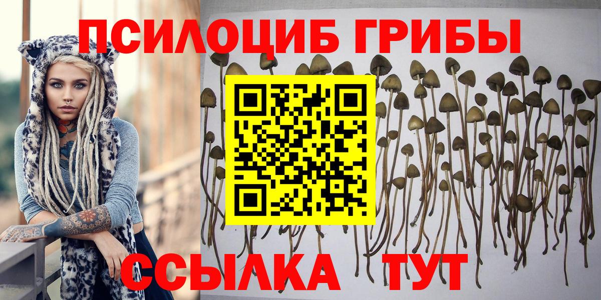 Псилоцибиновые грибы Psilocybine cubensis  Вход с VPN  Нижнеудинск  Псилоцибиновые грибы мухоморы 