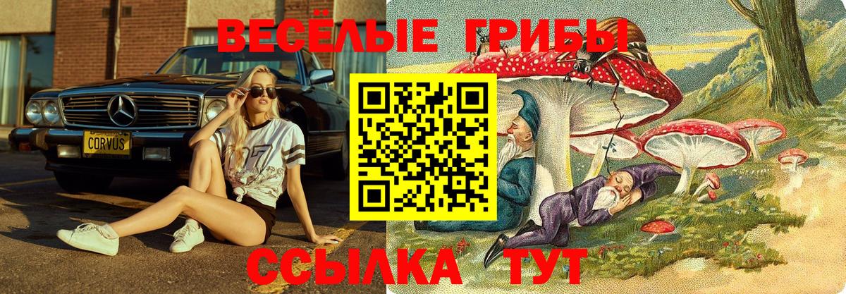 Псилоцибиновые грибы мухоморы Нижнеудинск